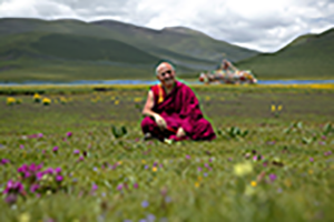 Matthieu Ricard